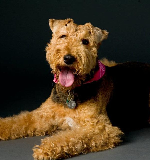 Holding on for dear life