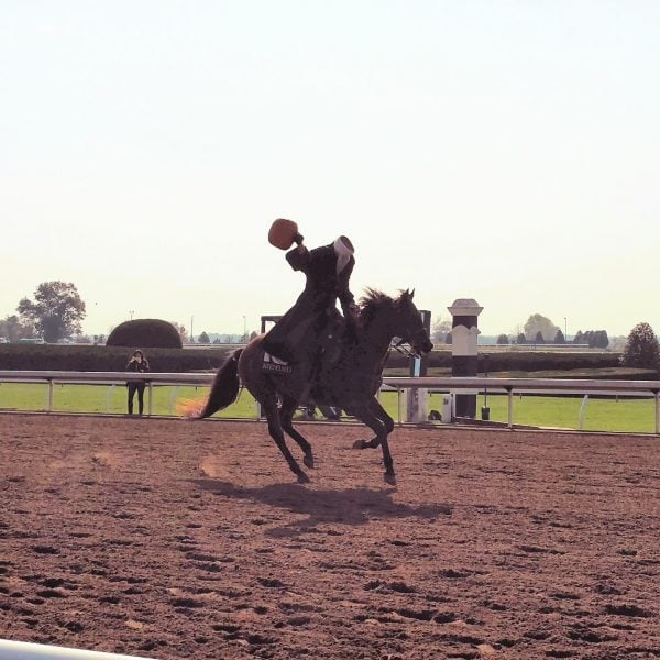 Sunshine on a Cloudy Day 4 Headless Horseman